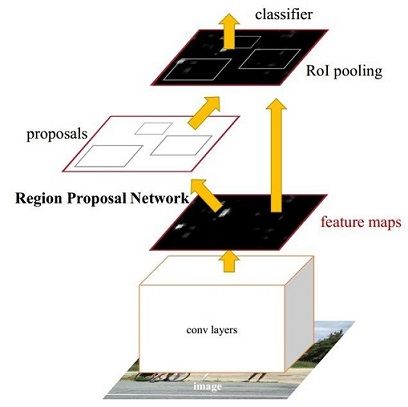 Faster RCNN基本结构(原论文)